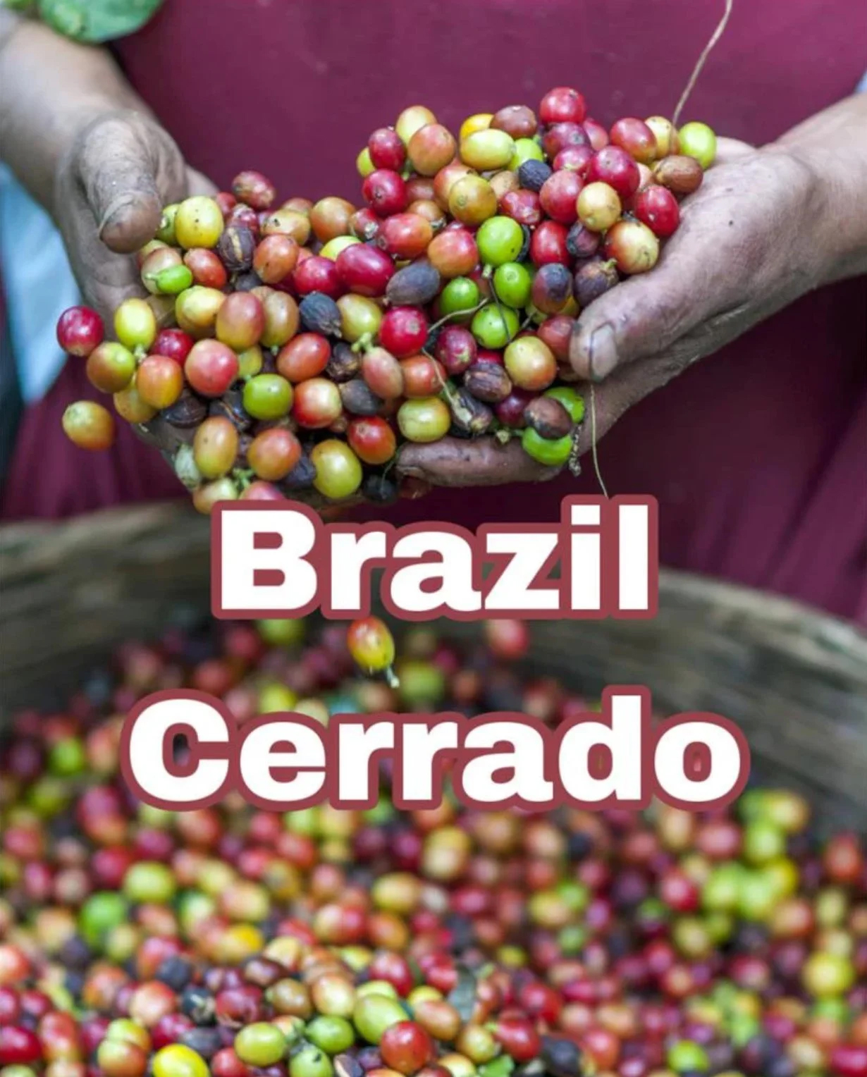 SaImo Brazil Coffee